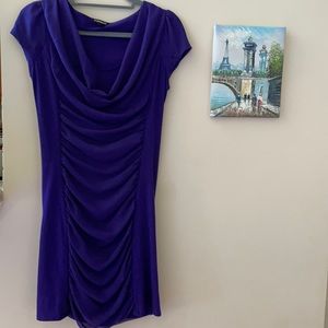 Express Blue Violet Color Dress